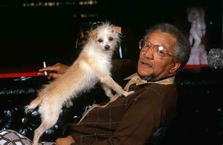Unveiling Intriguing Facts About Redd Foxx's Adopted Son