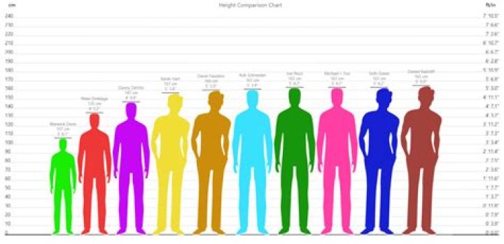 Unveiling Jeff Probst's Towering Stature: A Height Analysis