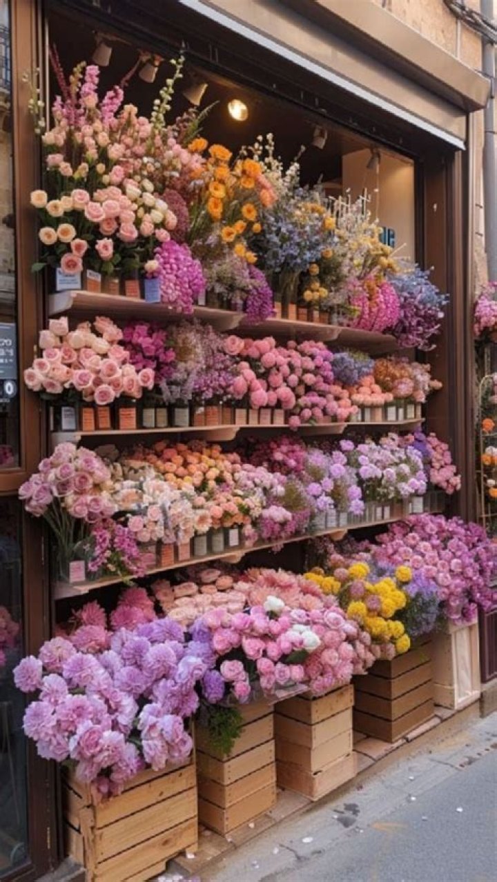 Unveiling Karol G's Floral Obsession: Discoveries And Insights