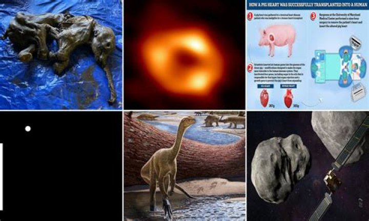 Unveiling Saucy Santana's Date Of Birth: Discoveries And Insights