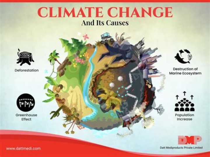 Unveiling The Causes And Discovering Solutions