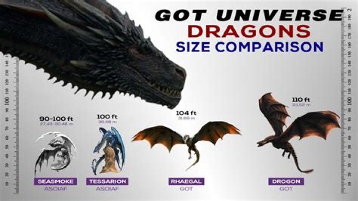 Unveiling The Colossal Proportions Of Balerion: A Human Comparison