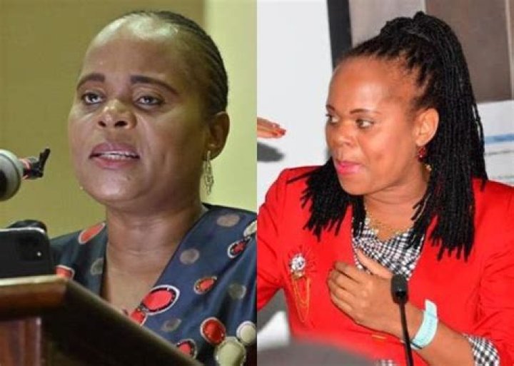 Unveiling The Contact Details Of Phophi Ramathuba