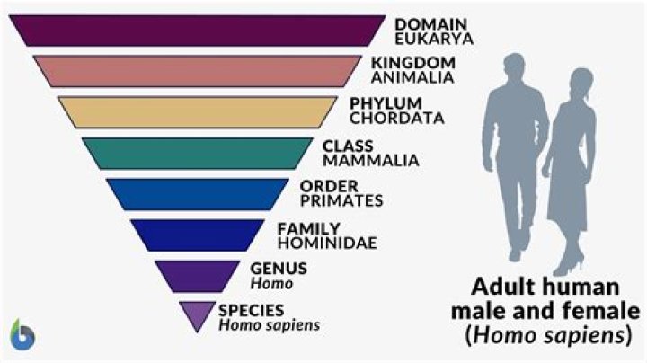 Unveiling The Curiosities Of Human Nomenclature