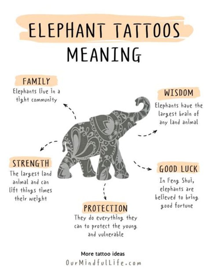 Unveiling The Meanings Behind Elephant Tattoos