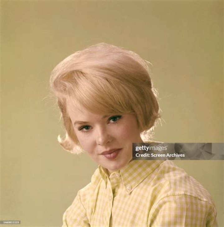 Unveiling The Multifaceted Legacy Of Joey Heatherton: Discoveries And Insights