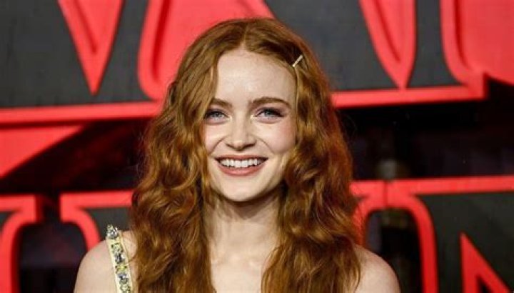Unveiling The Secrets Of Sadie Sink's Enduring Relationship
