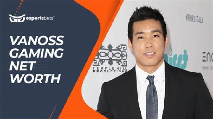 VanossGaming Net Worth - MoxSync