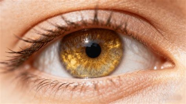 Walker Scobell's Captivating Hazel Eyes: A Unique And Expressive Feature