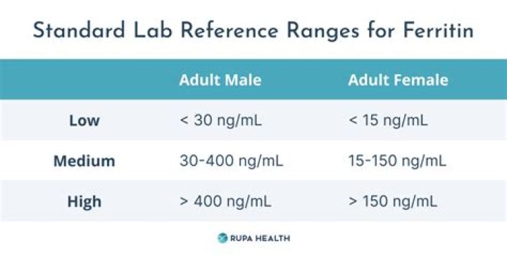 What A High Ferritin Level Can Indicate: Understanding Its Significance