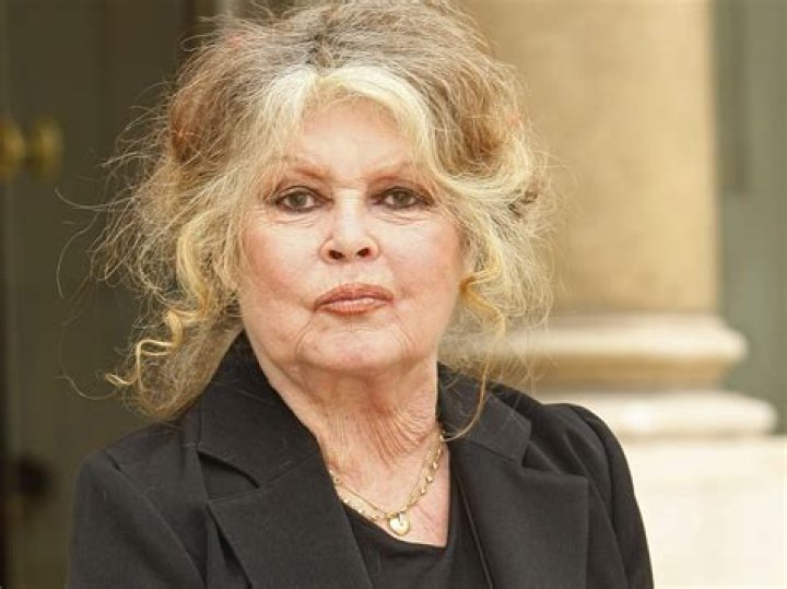 What Is The Name Of Brigitte Bardot's Son?