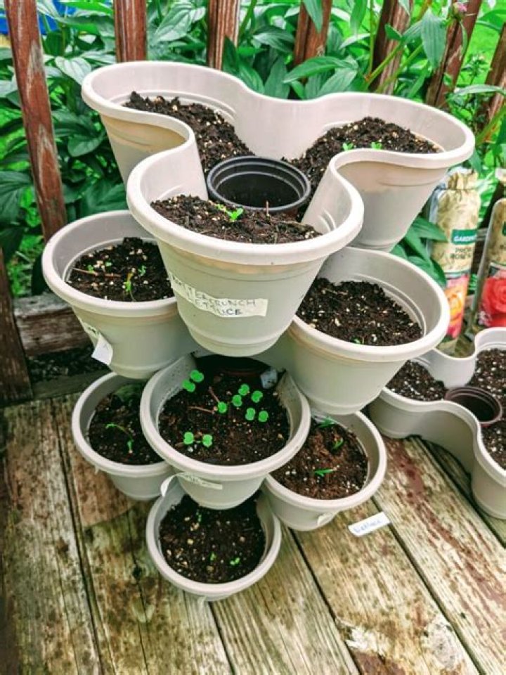 What They Are And How To Keep Them Going