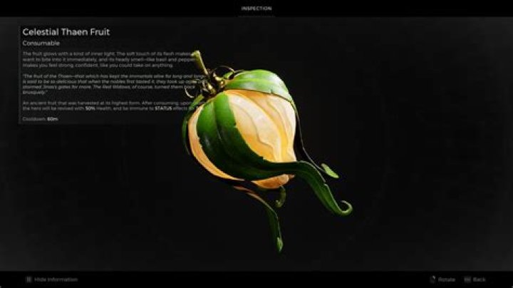 What to do with the Thaen Seed in Remnant 2 ·
