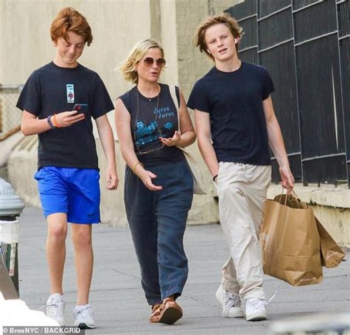 When Is Amy Poehler Due With Her Second Child?
