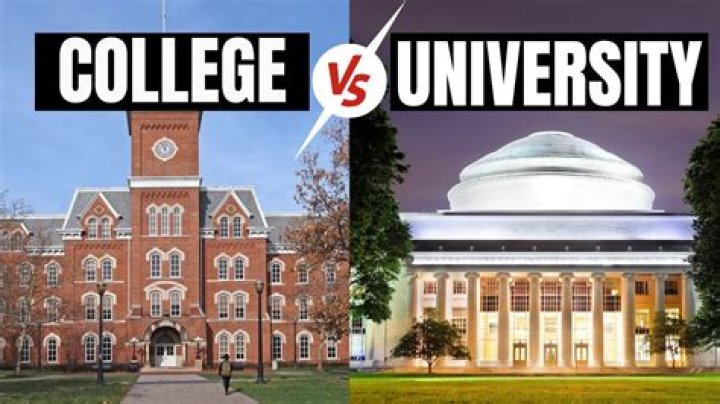 Where did Sam Burns go to college and high school? ·