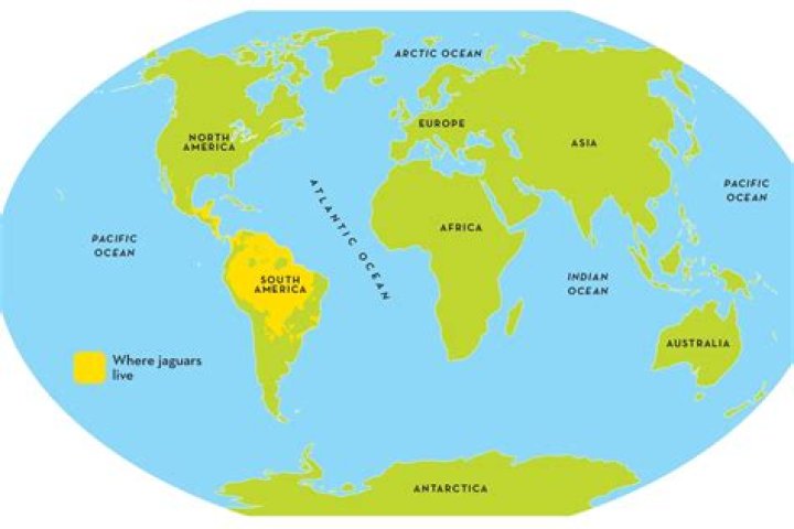 Where In The World Does Molly Noblit Reside?