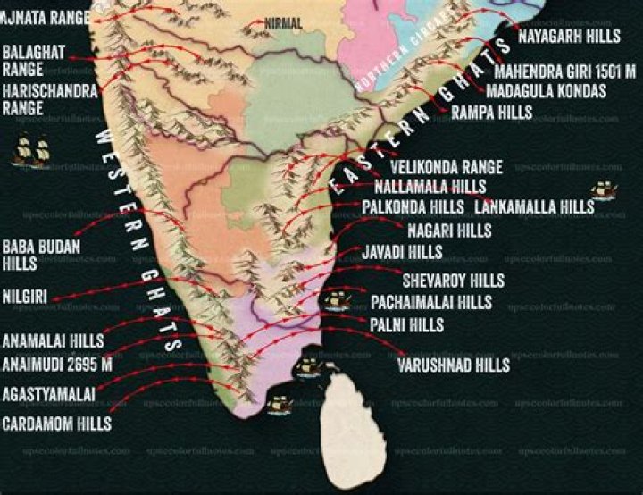 Where Is Annamalai From? Discover His Native Roots In The BJP