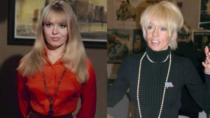 Where Is Joey Heatherton Now: Her Life After Fame