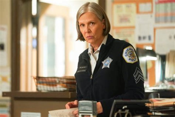 Who's The Actress Behind Trudy On 'Chicago P.D.'?