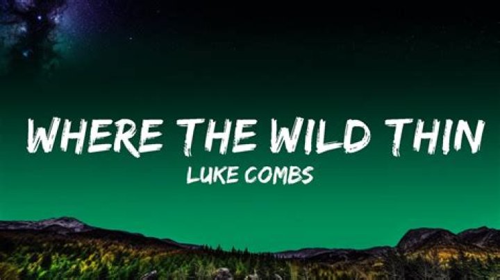Who Authored Luke Combs' 