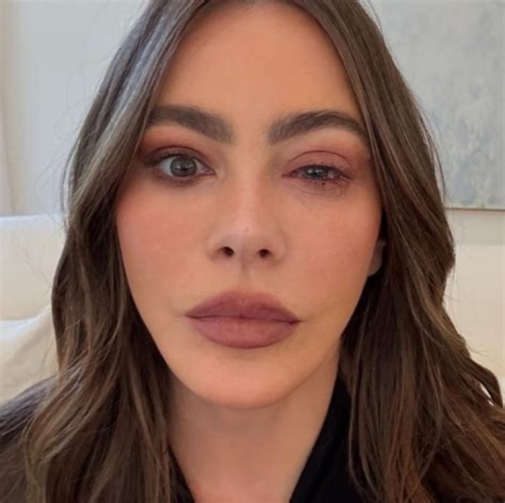 Who Is Sofia Milos's Spouse?