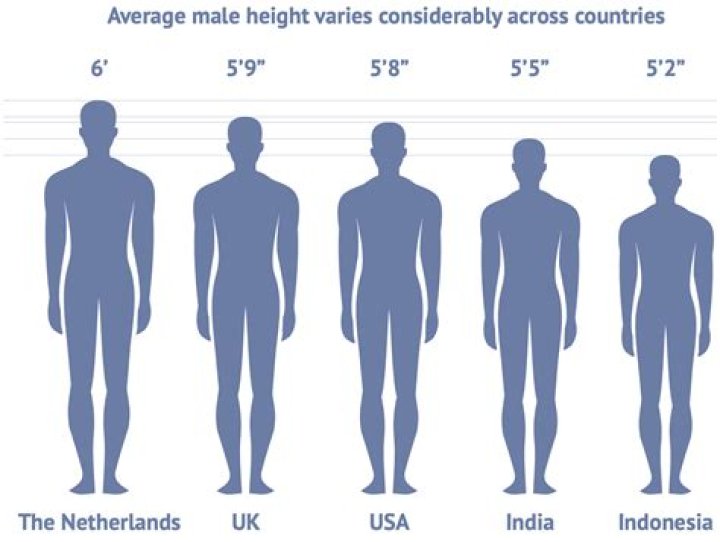 Wiki, Age, And Height Revealed