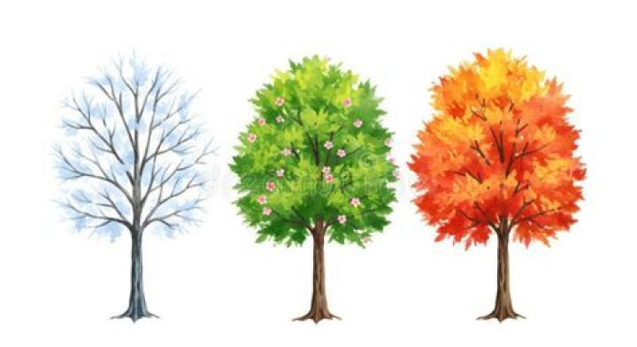 Winter's Wrath To Autumn's Glow