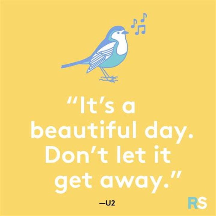 Witty Sayings To Brighten Your Day