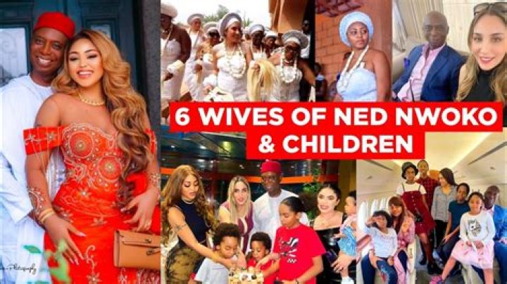 Wives Of Ned Nwoko: An Unconventional Polygamist's Household