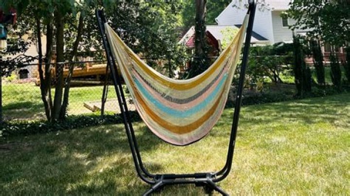 Yellow Leaf Hammock Net Worth 2024 ·