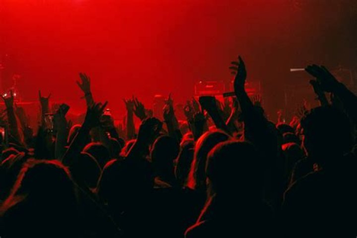 Your Guide To The Perfect Concert Experience
