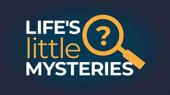 Your Ultimate Guide To Sofia's Little Blog